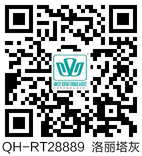 QH-RT28889  洛丽塔灰  VR.jpg