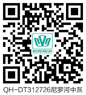 QH-DT312726尼罗河中灰 VR.jpg