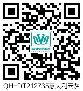 QH-DT212735意大利云灰 VR.jpg