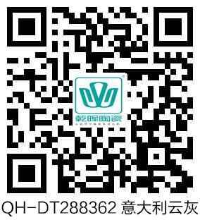 QH-DT288362意大利云灰 VR.jpg