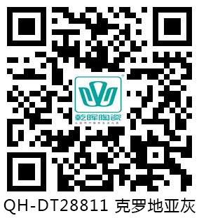 QH-DT28811 克罗地亚灰 VR.jpg