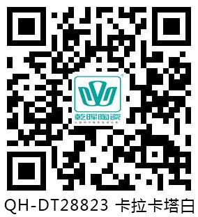 QH-DT28823 卡拉卡塔白 VR.jpg