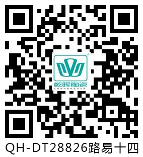 QH-DT28826路易十四 VR.jpg