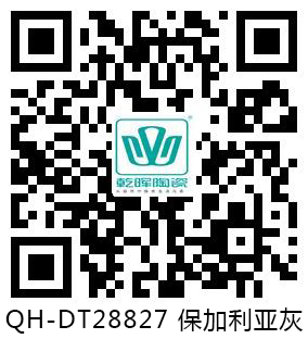 QH-DT28827 保加利亚灰 VR.jpg