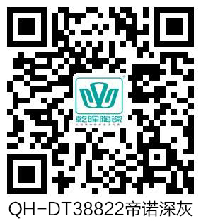 QH-DT38822帝诺深灰 vr.jpg